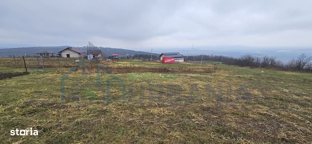 Teren intravilan 656 mp + acces, lângă pădure – Chicerea - Tomești - Poză 6