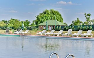 Sala de evenimente cu  piscina si foisor Biled COMISION 0 % CUMPARATOR - Poză 18