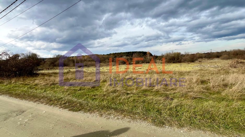 Teren extravilan 868 mp, Cârțișoara - Poză 3