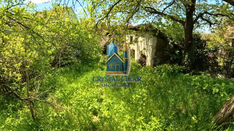 Casă 2 camere + teren 1700 mp - zona Platoul Cornești, str. Trebely - Poză 22
