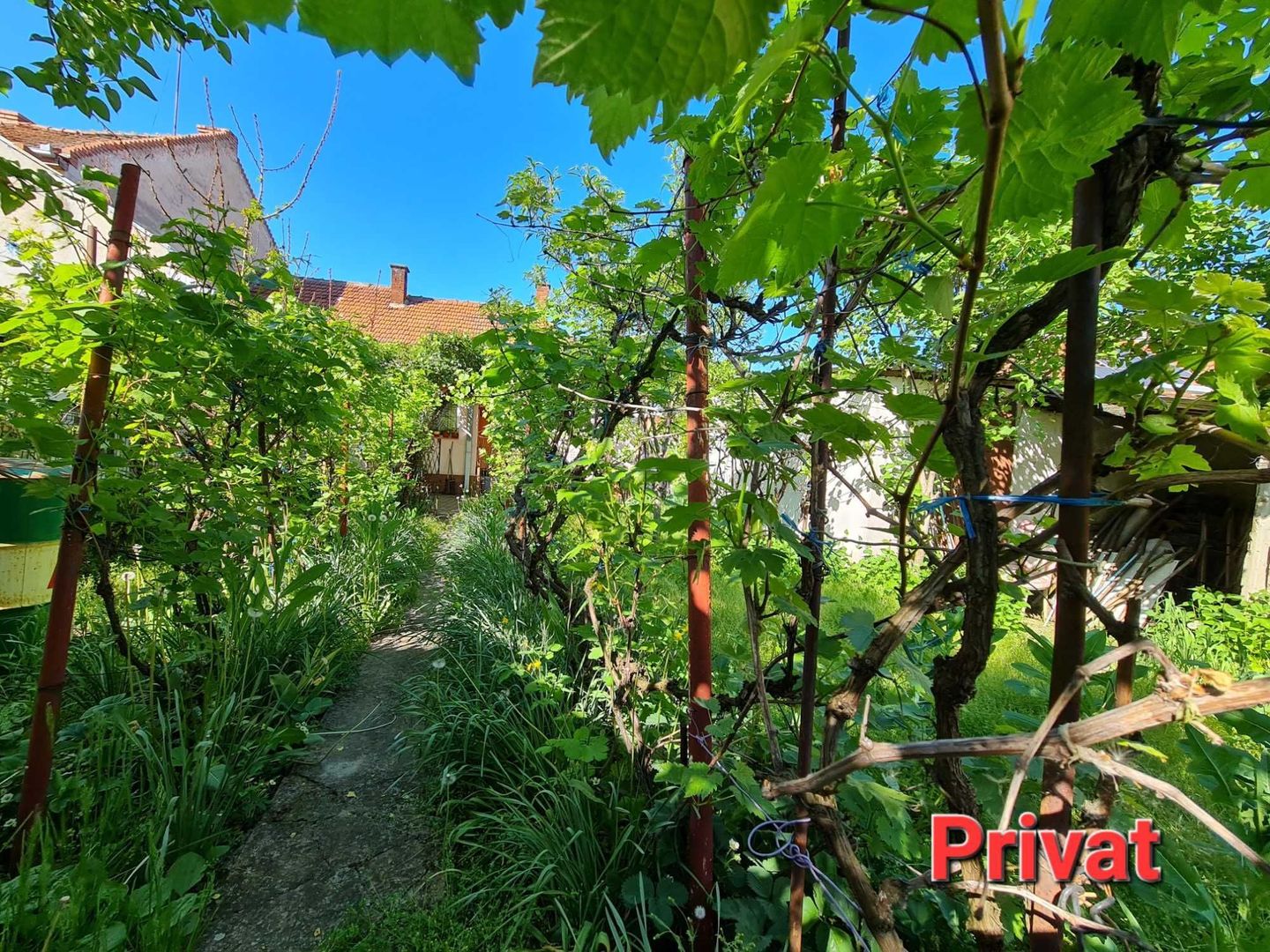 Casă cu grădină str.Anton Pann/486mp/3 front/spațiu com./155.000€neg. - Poză 2