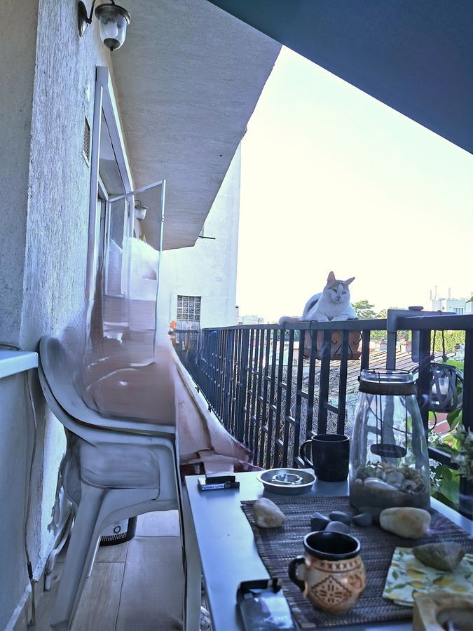 Apartament Plevnei / Orhideea - Poză 7