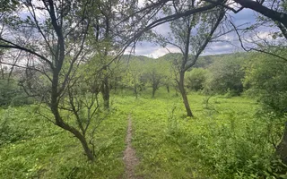 TEREN INTRAVILAN 7018 MP CAMPULUNG - Poză 17