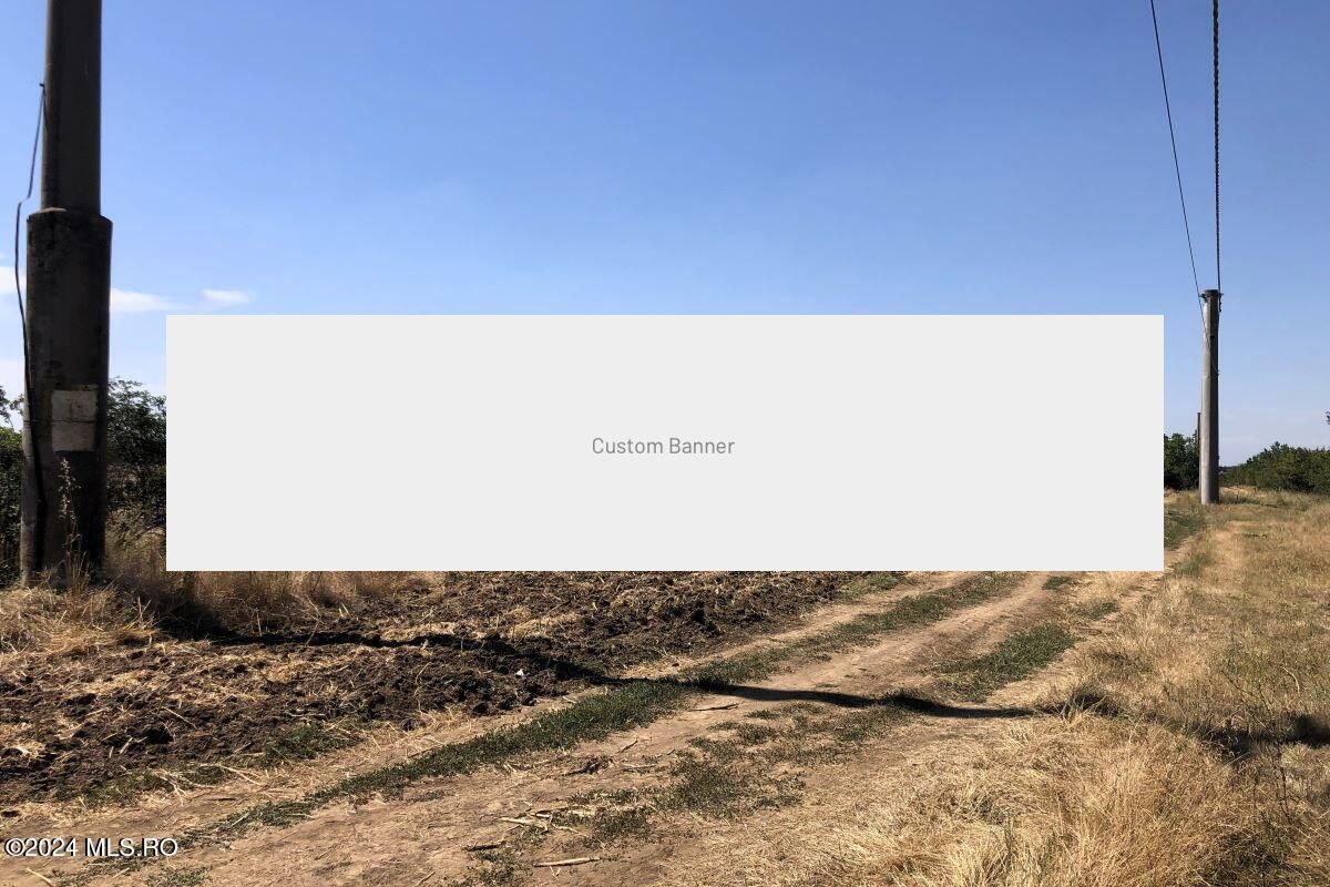 Moara Vlasiei - langa Padurea Biglaru, 11.884 mp, deschidere 40 ml - Poză 3