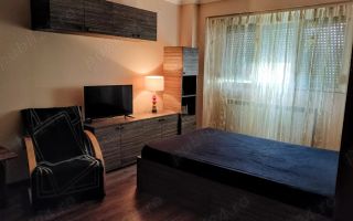Apartament cu o cameră de închiriat – Strada Brăilei - Poză 1