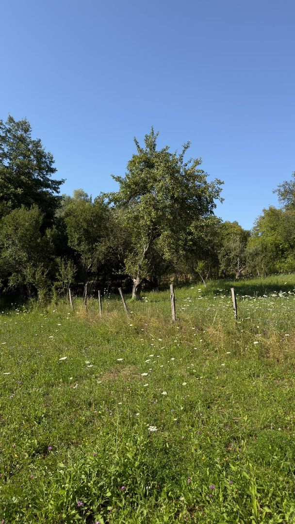 Teren Parau | Valea Danului, Curtea de Arges | Vidraru | - Poză 7