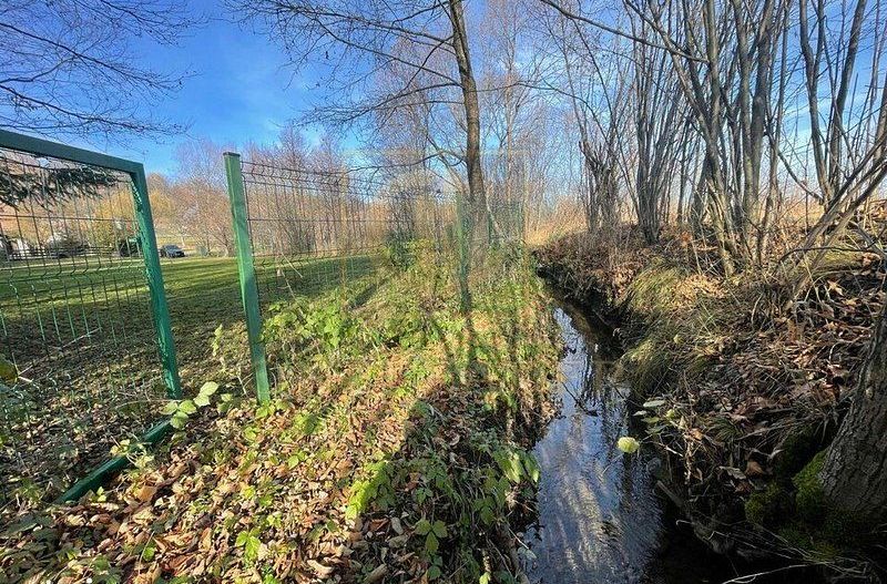 Teren 3349 mp de Vânzare | Bran – Panoramă Munții Bucegi - Poză 15