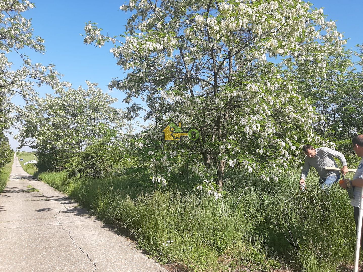 Teren Extravilan, Dealu Viilor, Lugoj - Poză 3