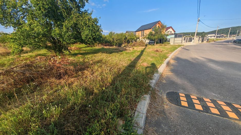 Teren intravilan 1.600 mp Mioveni – Zona Pruni - Poză 2