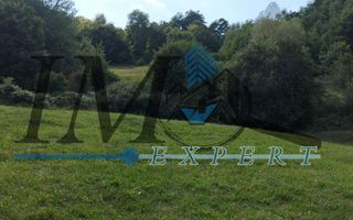 Vand teren in Poiana Ampoiului comuna Metes jud. Alba - Poză 3