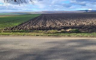 Teren 36 Ari | Mitocu Dragomirnei | 25.500 € - Poză 3