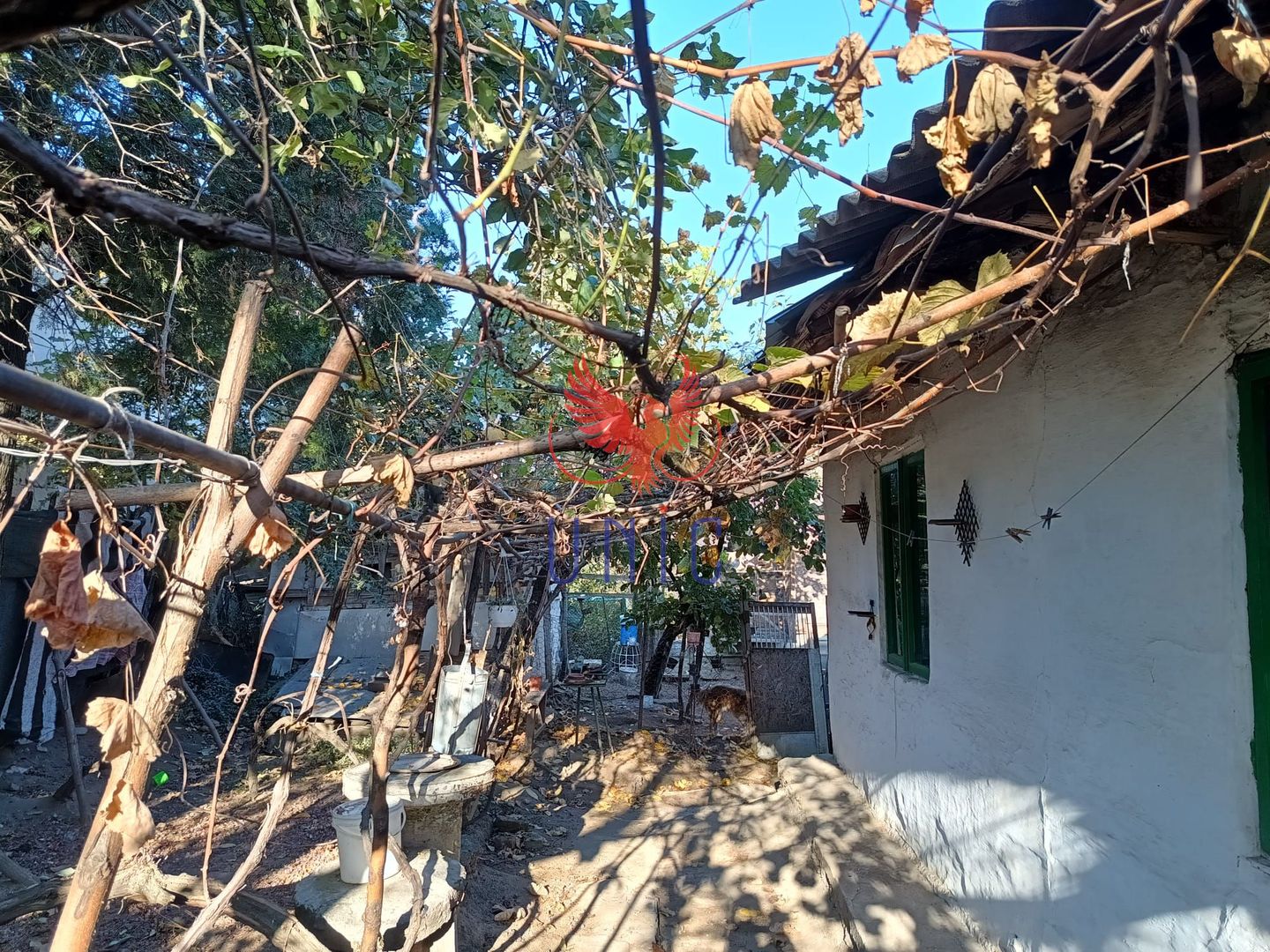 Oportunitate  teren intravilan, zona Sydney - Poză 3