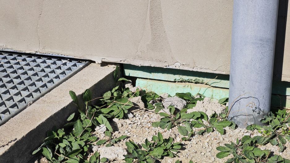 Casa individuala S+P-Mosnita Noua-teren 800 mp. - Poză 36