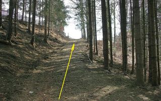 VALEA DOFTANEI - Traisteni, langa Conacul Dascalu, vanzare 2.537 mp. teren - Poză 3