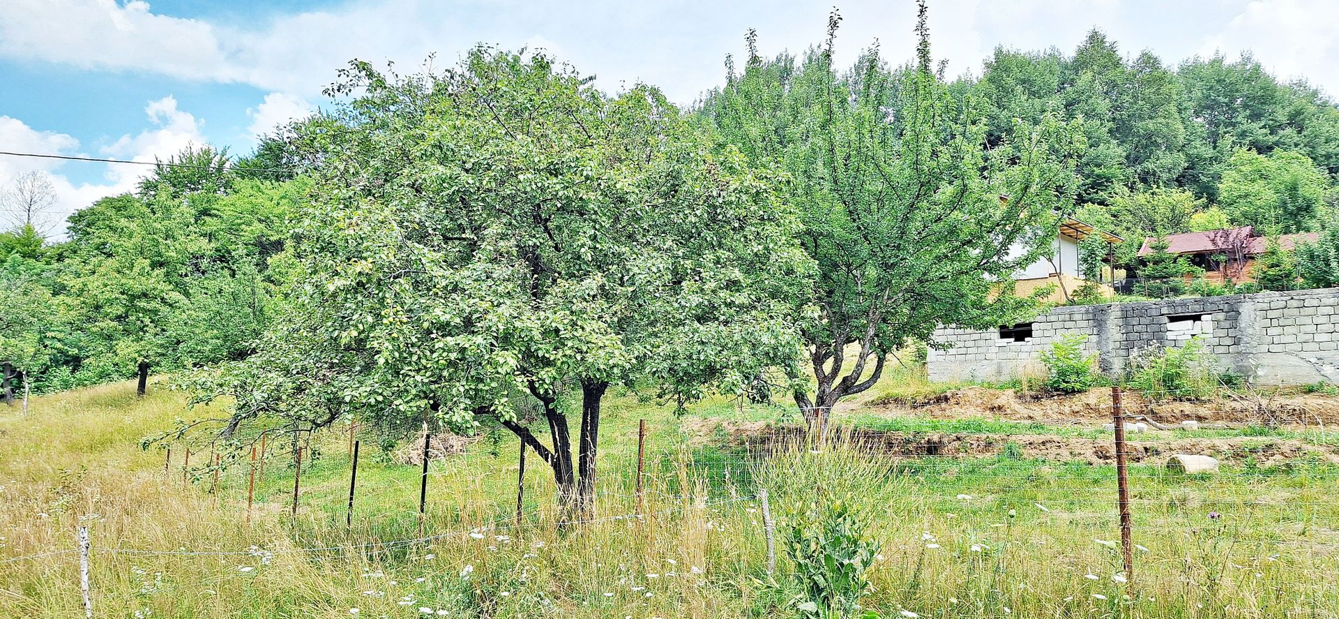 Bran- Predelut, 1000mp teren pentru casa de vacanta, pret 45 euro/mp - Poză 15