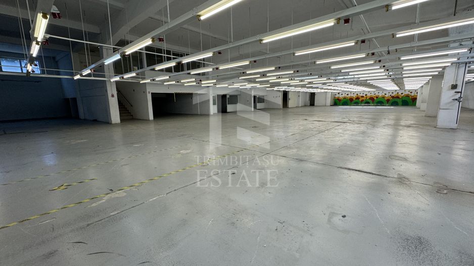 Hala productie P+1 si apartament de serviciu Navodari - c-tie beton - Poză 7