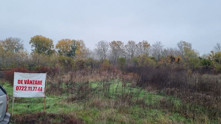 Stradal- Utilitati- Liziera Ciorogarla - Strada Sacamilor - Poză 7