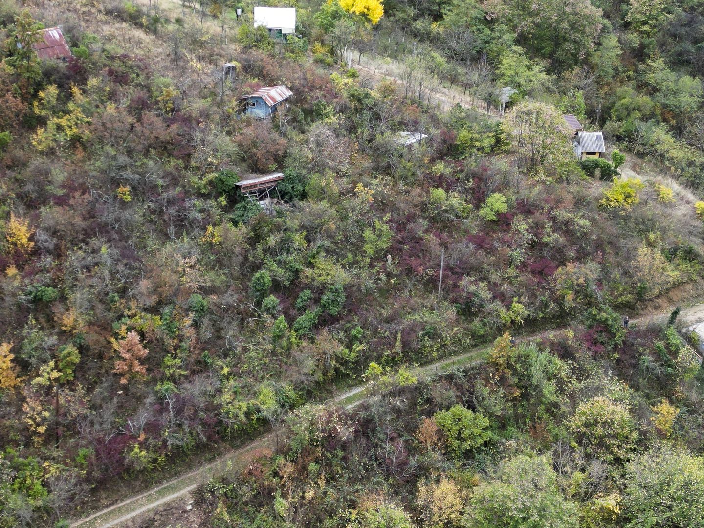 Teren 18,300mp Ghioroc - Poză 8