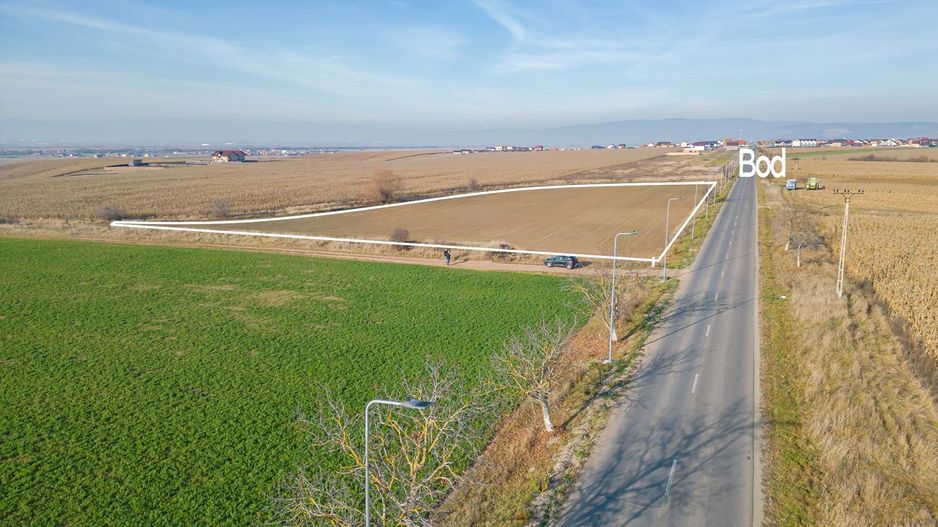 Teren pretabil pentru activitate comerciala - Poză 5