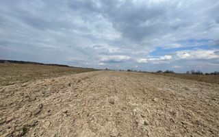 TEREN EXTRAVILAN | 23 ARI | HORODNIC DE SUS - Poză 4