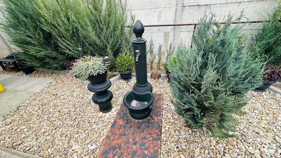 Parter cu structură pentru etaj, curte amenajată și organizare impeca - Poză 10