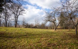 Teren intravilan, cu PUZ, Bran Tohanita,  SE ACCEPTĂ ȘI SCHIMB - Poză 21