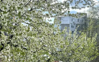 🏡 Apartament 2 camere, etaj 3, stradal – zonă excelentă Micro 40 - Poză 15