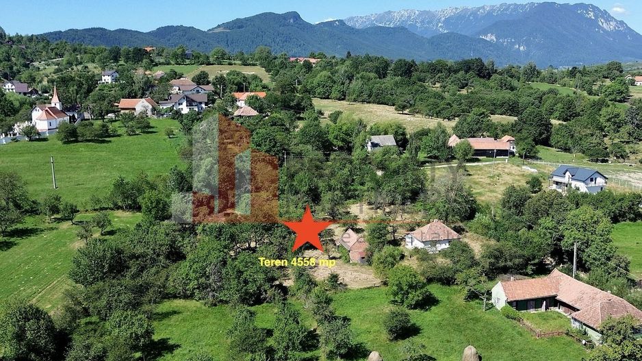 Teren 4558 mp cu casă tradițională, Sohodol, Bran - Poză 4