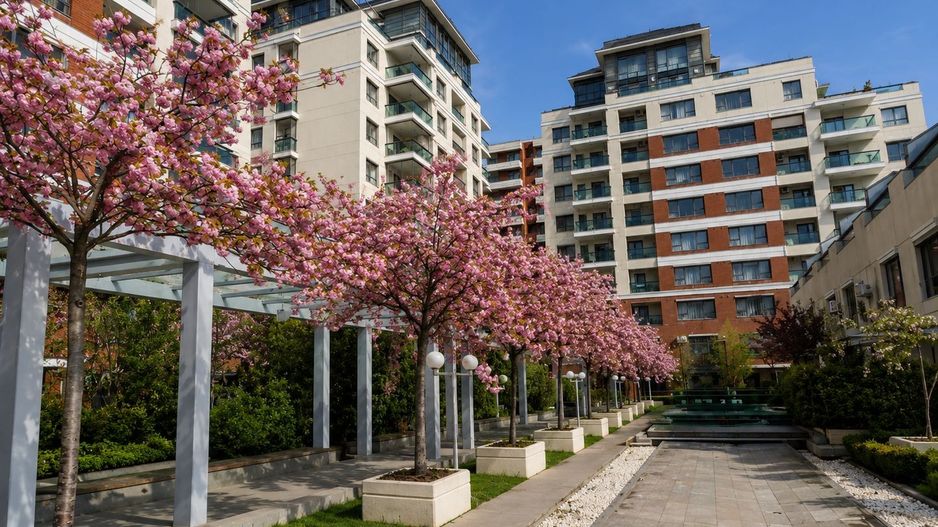 Apartament 3 Camere I Vedere Lacul Tei | Loc de parcare inclus - Poză 2