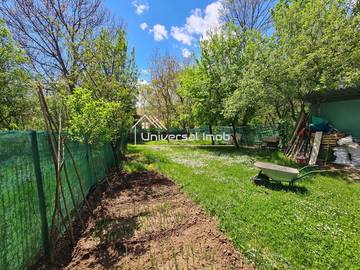 Casa cu 1 camera in Vlaha - Poză 3