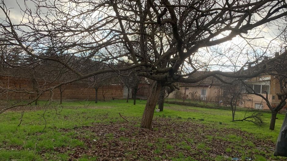 Casa P+M 90 mp zona Lipovei - Poză 8