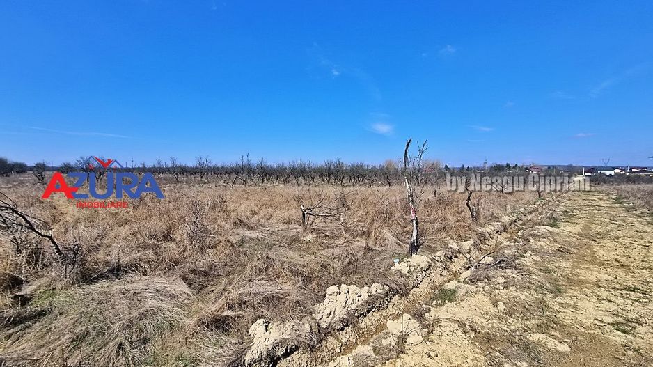 AZURA IMobiliare - Teren Iefin Bascov 3km de Giratoriu - Poză 3