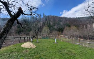 CASA 5 CAMERE CU TEREN 800MP, LERESTI ARGES COMISION 0 CUMPARATOR - Poză 23