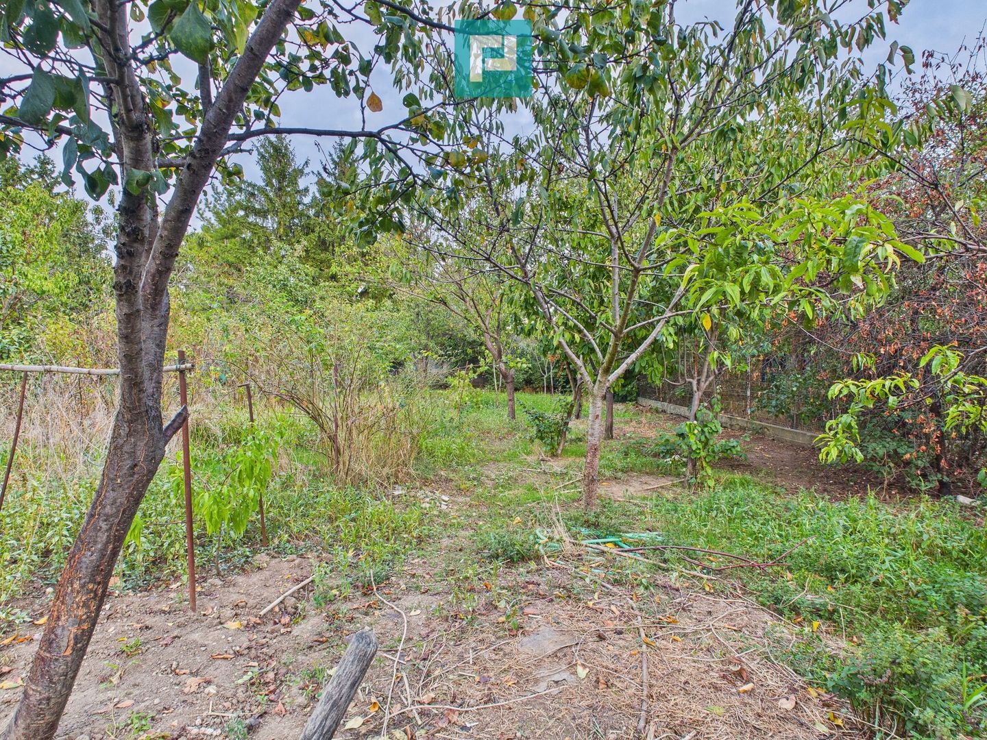 Casă modestă cu 3 camere în Aradul Nou - Poză 13