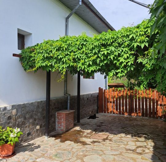 Proprietate de excepție în Lelești – la doar 8 km de Târgu Jiu - Poză 25