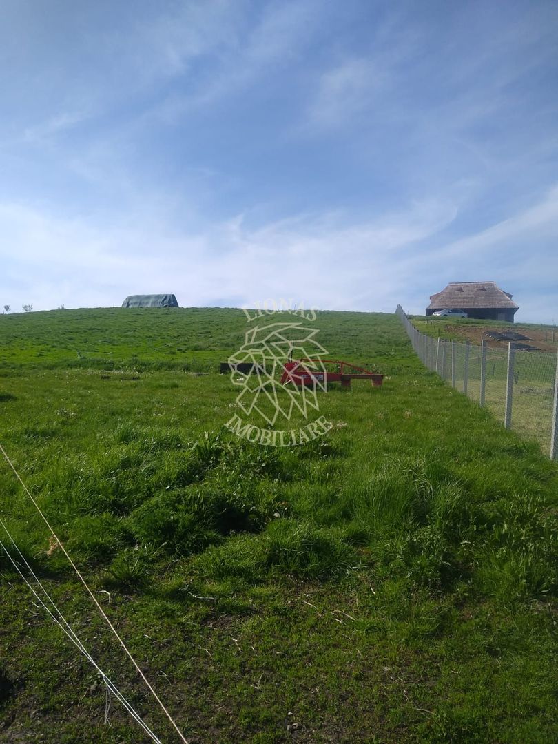Teren 2500 mp-ideal agricultura/cabane/sera-panorama-Monariu - Poză 5
