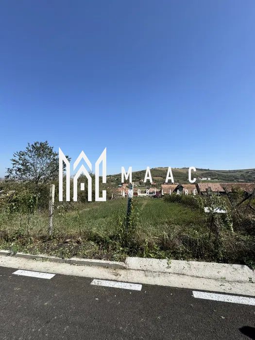 Teren Intravilan | 1230 MP | 2 Parcele | Utilitati | Pauca - Poză 1