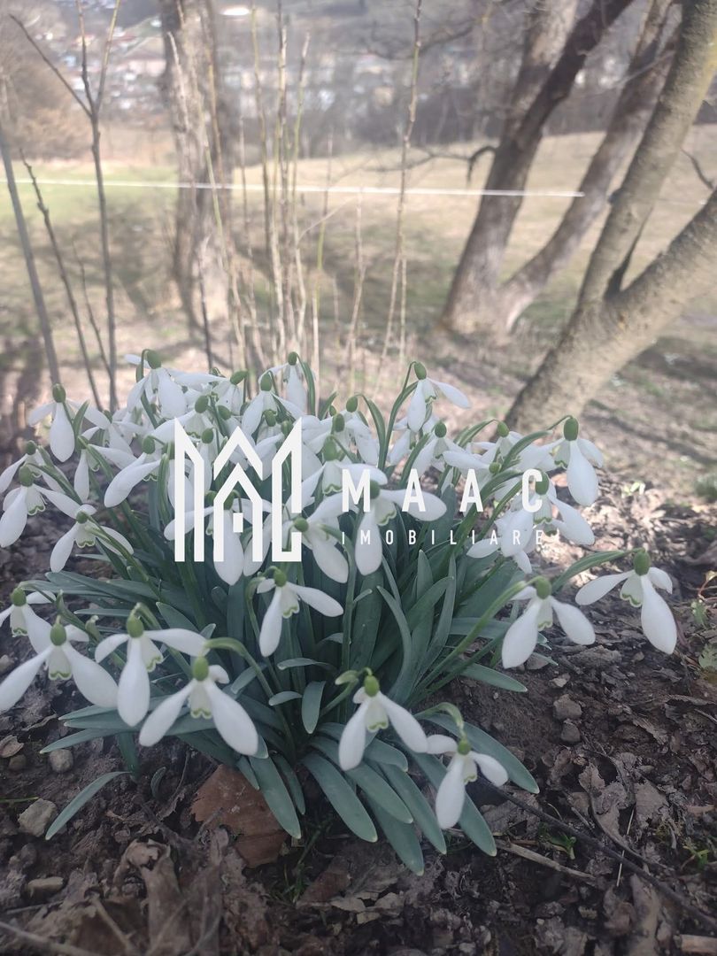 Casa Vantului si 8000 metri patrati in Abrud - Poză 4