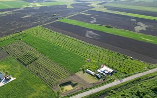 Livadă de nuci și pruni 2.4ha în Variașul Mare - Poză 15