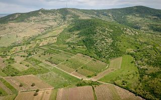 Teren extravilan - 3654 mp Dealul Șiriei - Poză 3