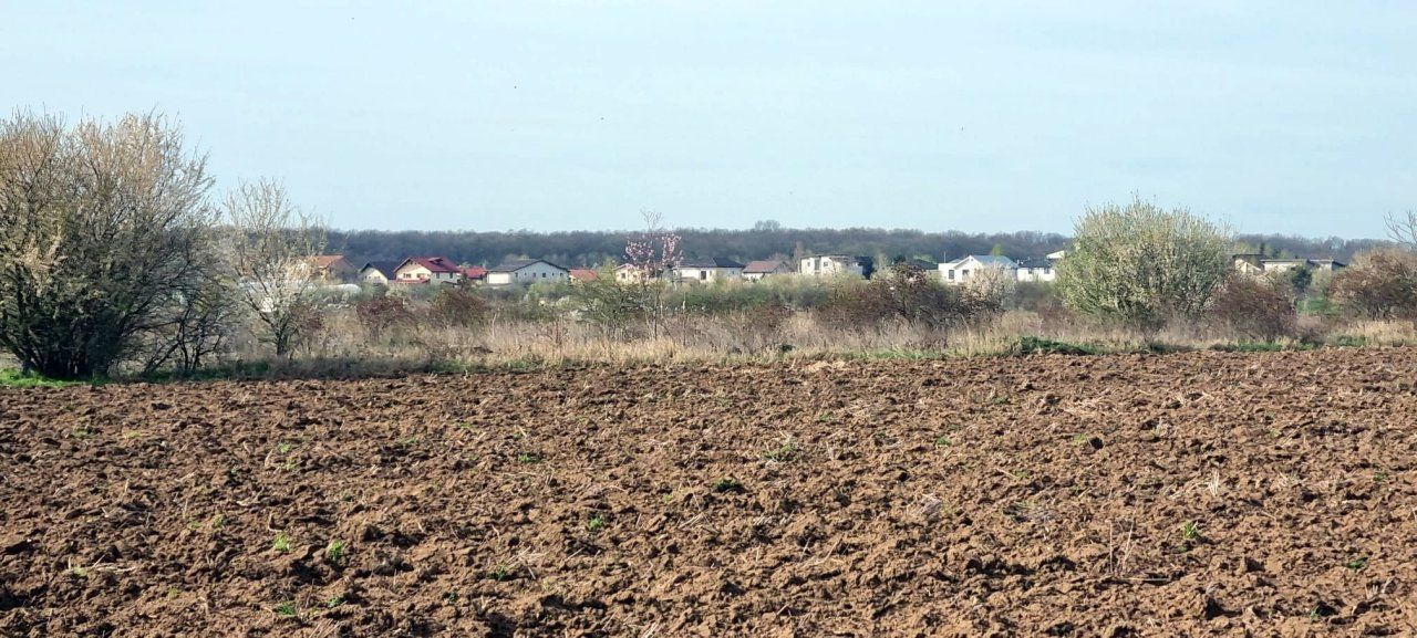 „Corbeanca – aer curat, potențial mare, preț competitiv. 4 loturi - Poză 4