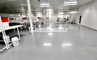 Spatiu de inchiriat Craiesti - Poză 8