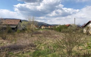 Teren intravilan 4500 mp zona Kaufland - Poză 3