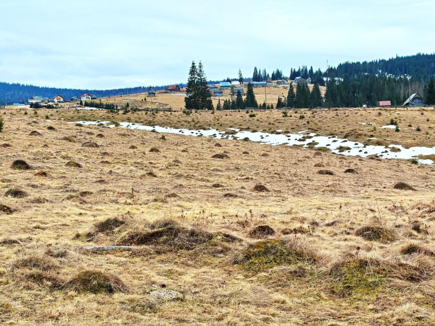 TEREN CU VEDERE LA LAC, 5959 MP Statiunea Turistica Montana BELIS-CLUJ - Poză 5