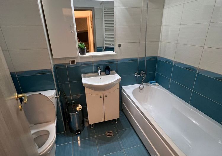 Apartament 2 camere, complet mobilat si utilat, Rotar Park Residence - Poză 6