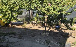 Casa individuala parter, Domnesti, zona Craitei-Foisorului. Investitie buna. - Poză 6