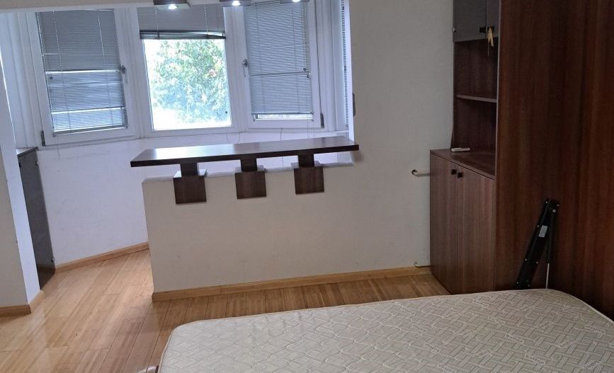 Garsoniera zona Costin Georgian - Lucretiu Patrascanu - Poză 3