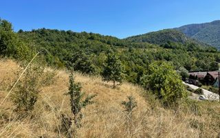 Teren intravilan 2.580 mp Eșelnița, acces DN57, ideal turism, locuinte - Poză 12