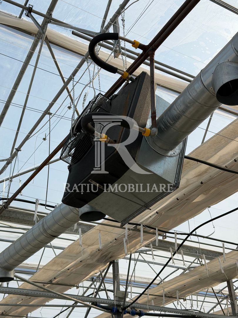 Complex agroindustrial de închiriat | Sere 3.300 mp - Poză 16