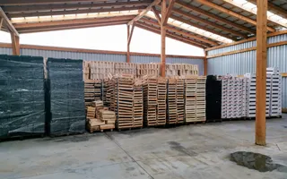 Ferma pomicola cu teren livada 270 ha - Timis - Poză 16